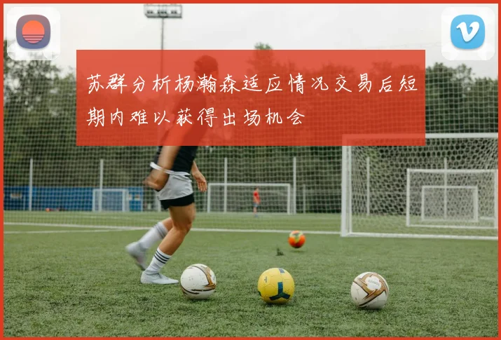 苏群分析杨瀚森适应情况交易后短期内难以获得出场机会